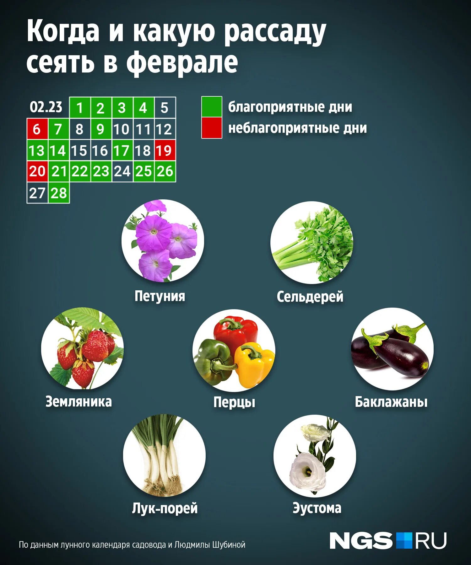 Какого числа сажают перец 2025
