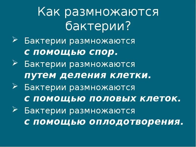 Как размножаются бактерии. Какмразмножаюися бактерии. Как разминаются бактерии. Бактерии размножаются с помощью.