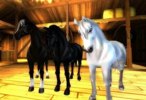 Stable video