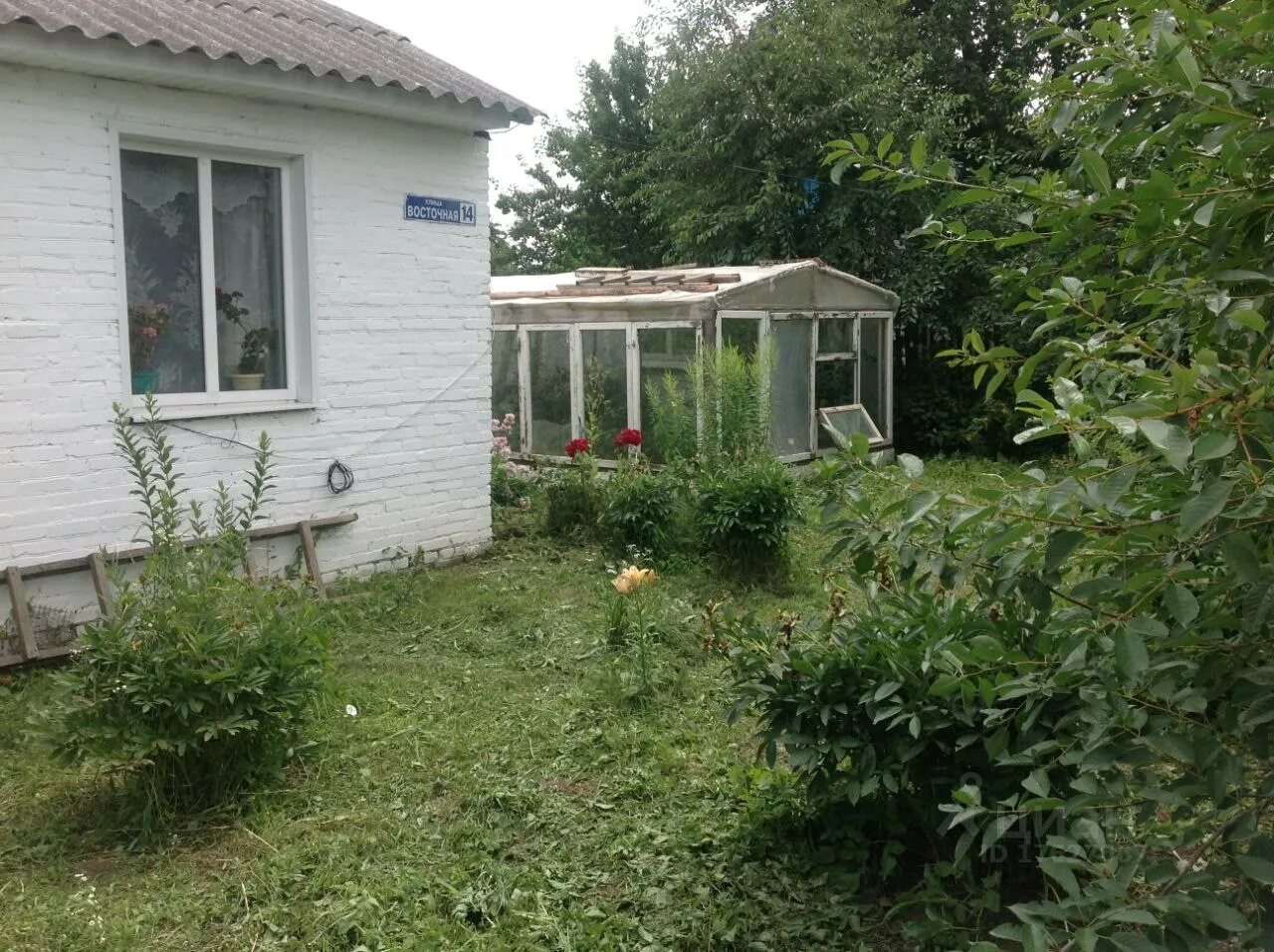 Рогнедино брянская область. Погода рогнедино 10 дней подробно. П рогнедино брянская область. Рогнедино брянская. Посёлок рогнедино.