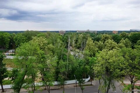 Вид из окна 1 этаж