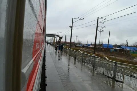 Погода куть ях