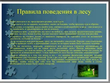 Правила безопасного поведения в лесу летом