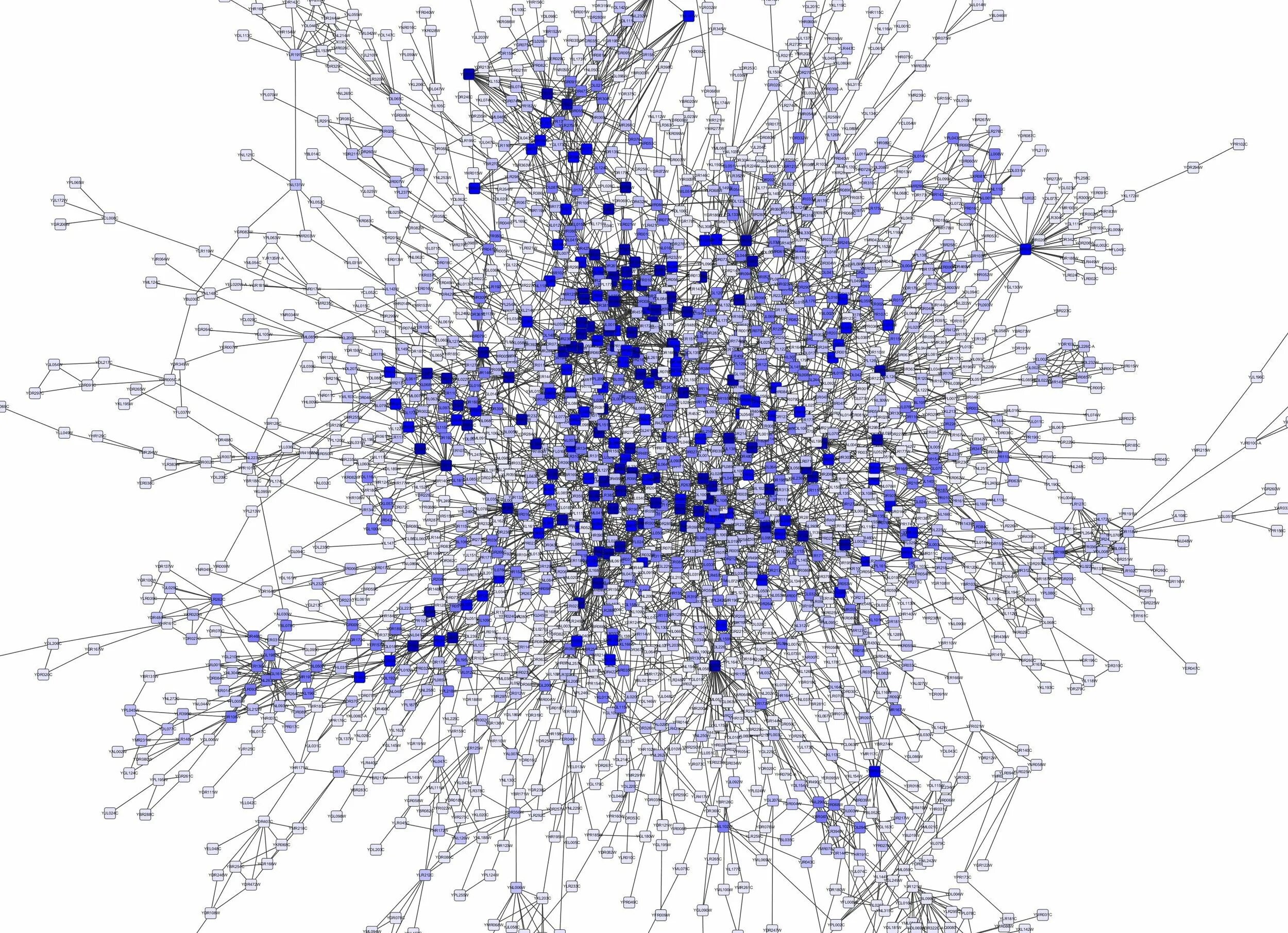 Last network. Кластеризация визуализация. Кластеризация данных. Многомерная кластеризация. Данные для кластеризации.