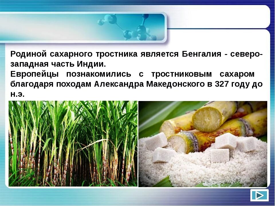 Сколько растет тростник. Сахарный тростник в Бразилии. Родина сахарного тростника. Производство сахарного тростника. Сахар из сахарного тростника.