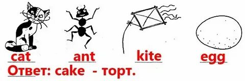 Cat ant