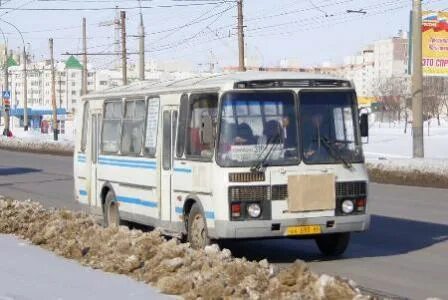 Автобус тамбов волчки