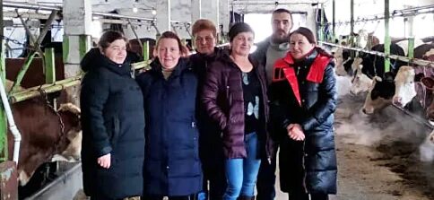 клуб лучших животноводов алтая. спк алтайского края. пастбищное животноводство на алтае алтай. быки производители. алтайский животновод.