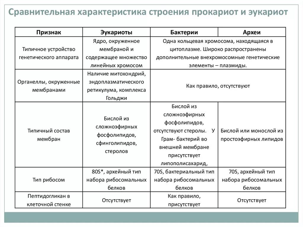 Сходства и различия прокариот. Сравните строение и функционирование бактерий Архей и эукариот. Сравнительная характеристика Архей бактерий и эукариот. Сравнение Архей бактерий и эукариот. Основные отличительные признаки прокариот от эукариот..