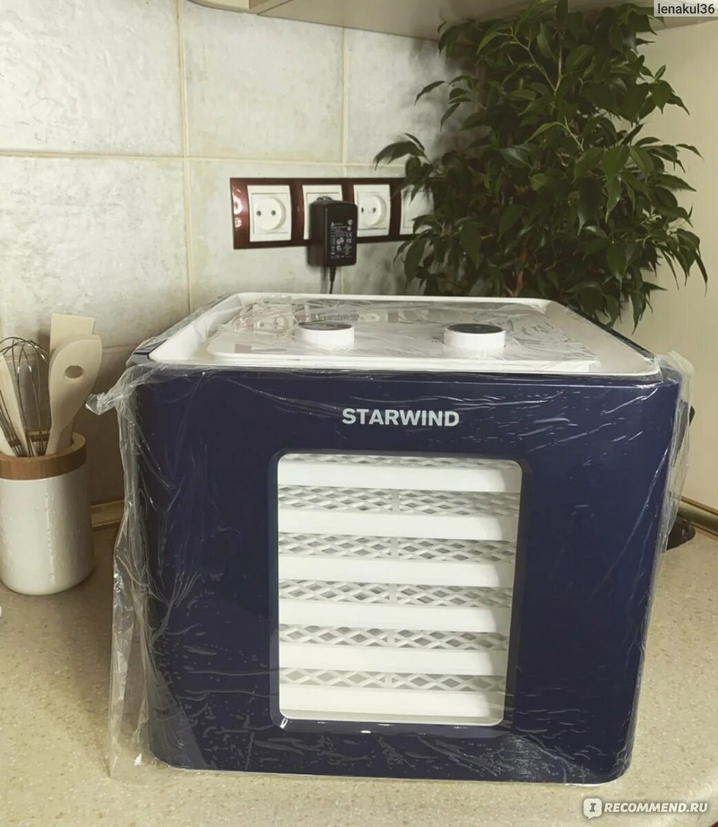 Сушилка для овощей и фруктов starwind sfd9534. Starwind дегидратор. Starwind sfd6431. Starwind sfd6431. Starwind sfd6431.