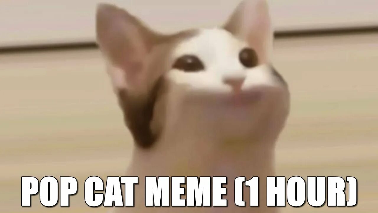 1 час кликаю на POPCAT YouTube