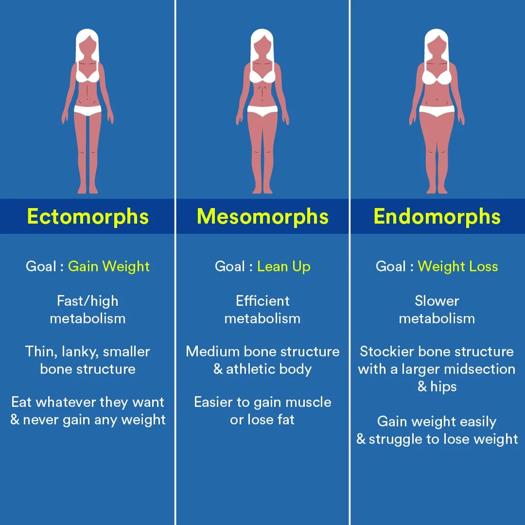 Тип телосложения эктоморф у женщин. Эктоморф мезоморф и эндоморф женщины. Тип телосложения мезоморф. Тип фигуры эктоморф женщины. Калькулятор типа телосложения