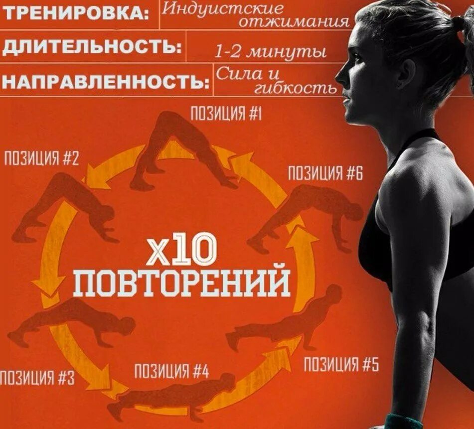 Дополнительное образование фитнес программа. Фитнес тренировки программа. кроссфит программа тренировок. программа тренировок для девушек. кроссфит упражнения комплекс для женщин.