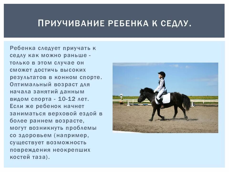 Конный спорт доклад. Виды спорта конный спорт. Какие игры относятся к спортивным играм. Конный спорт олимпийский вид спорта. Конный вид спорта как называется.