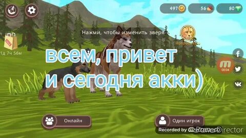 Акк в вилд крафт