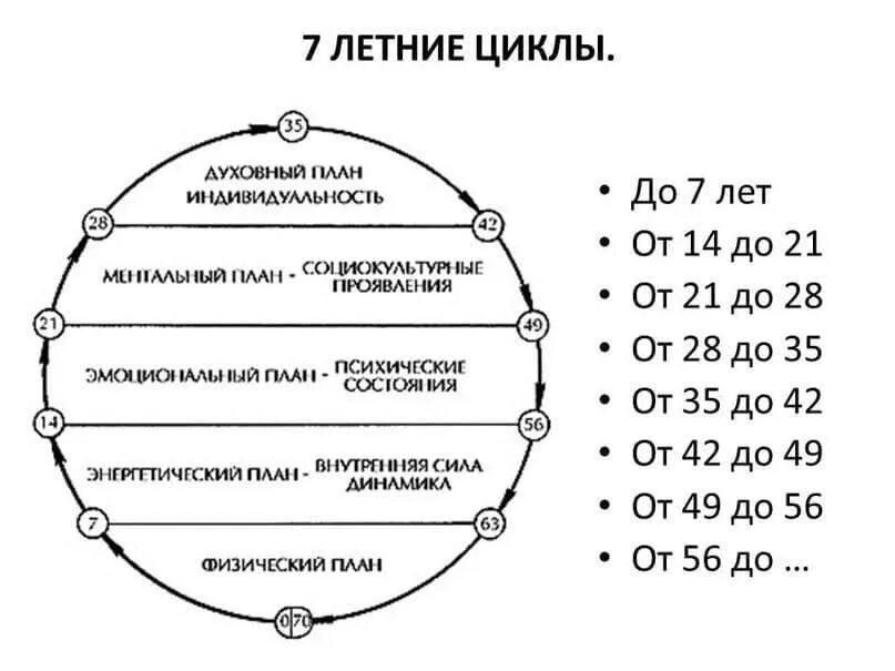 Следующем цикле. Кризисы и Семилетние циклы развития человека. 7 Ми летний цикл в жизни человека. Семилетние циклы в жизни человека. 7 Летние циклы.