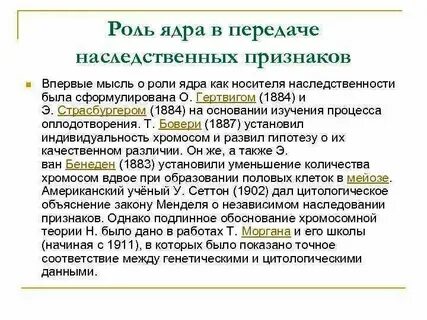 Цитоплазма передает наследственную информацию