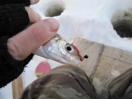 Ловля на мормышку осенью