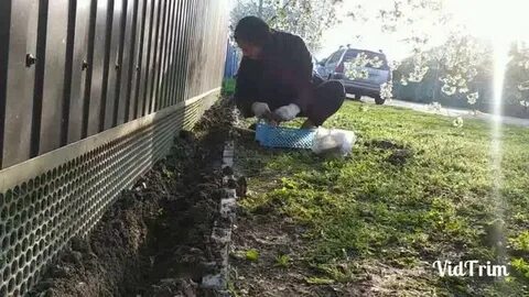 Апрель посадка