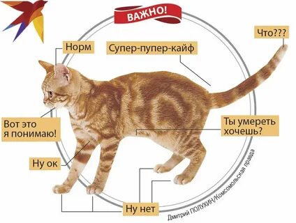 Нравится когда чешут