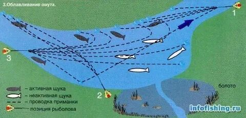 Где щука на реке
