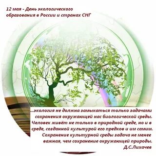 Отчет день экологических знаний в доу