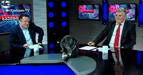 Тв кавкасия грузия