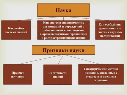 Наука и образование обществознание кратко
