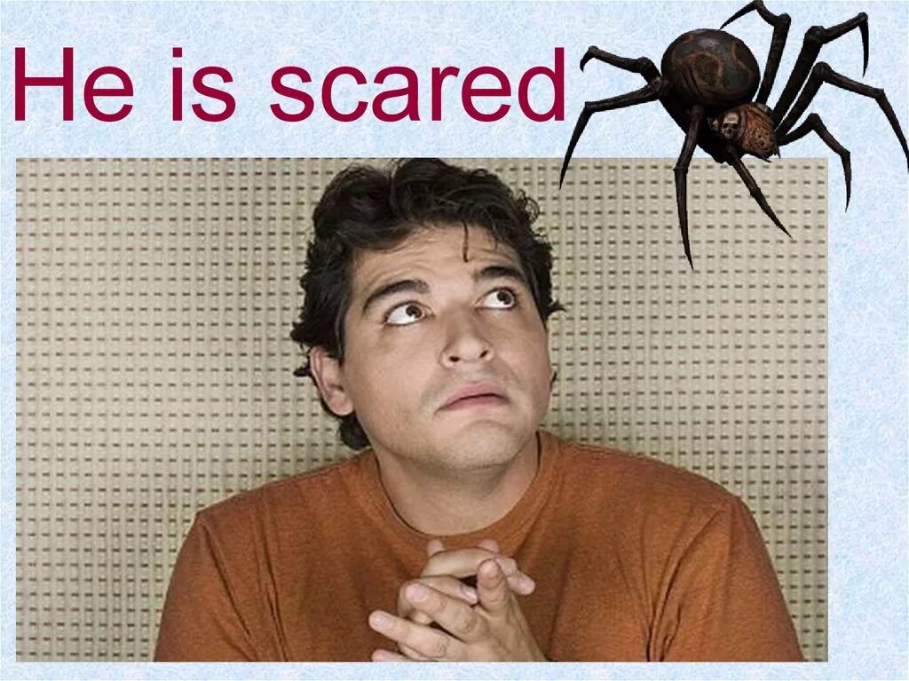 Being scared. Человек испугался паука. he is scared. испуганный перевод.