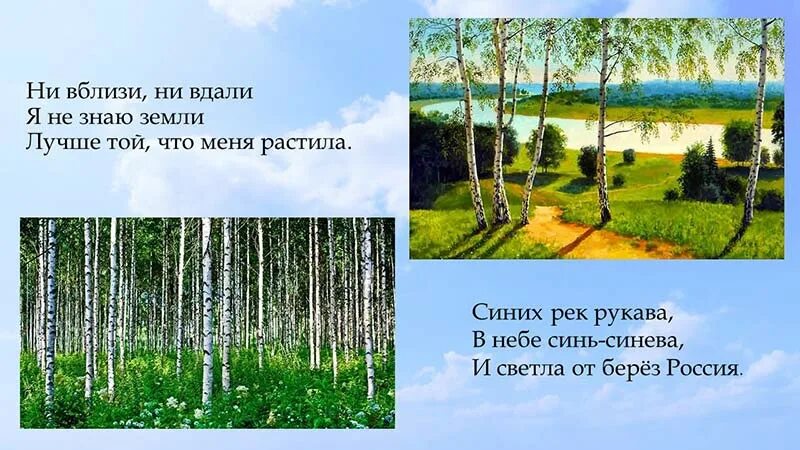 Не вблизи не вдали. Светлый край берез моя Россия. Россия Родина моя презентация. Светлый край берез это Россия. Светло в России от берез.