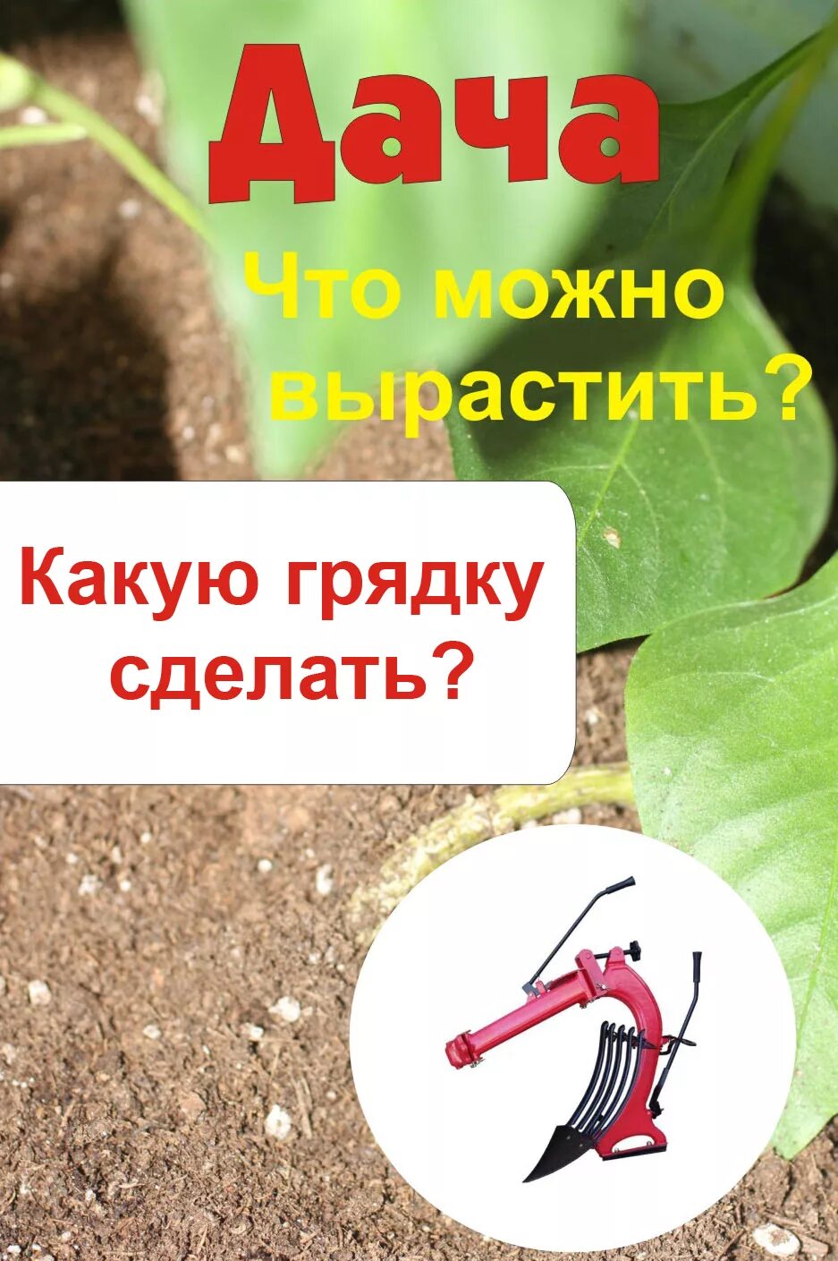 мельников илья - что можно вырастить? какую грядку сделать?.