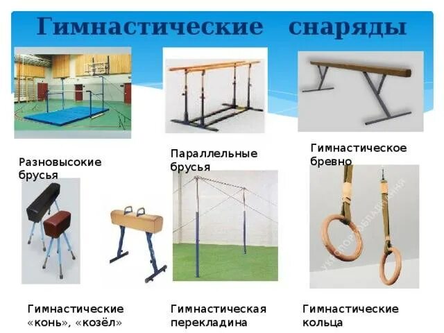Для каких путей используются брусья первого типа. Гимнастические снаряды таблица. гимнастические снаряды и гимнастический инвентарь названия. гимнастические снаряды и гимнастический инвентарь ответы. брусья параллельные гимнастические школа.