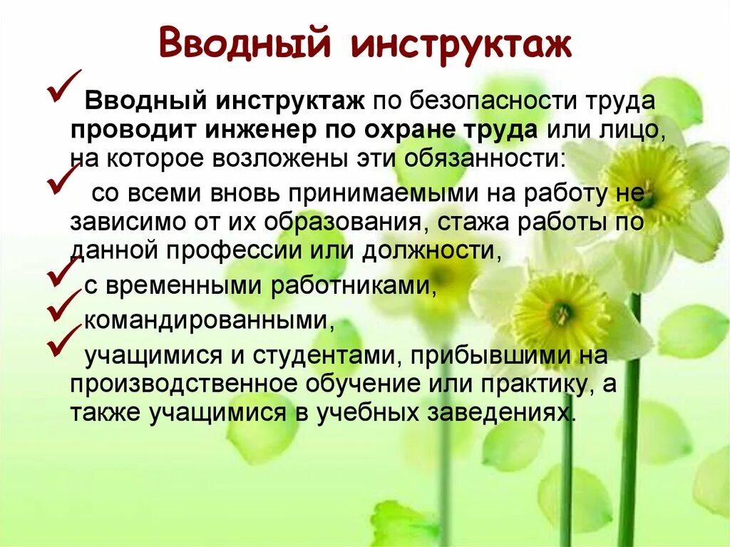 Цель инструктажей по безопасности. С кем проводится вводный инструктаж. С кем проводится вводный инструктаж по охране труда. Водный инструктаж по охране труда. Кто проводит вводный инструктаж по охране труда.