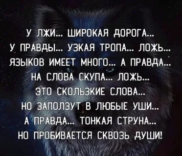 Дорогой широкой текст