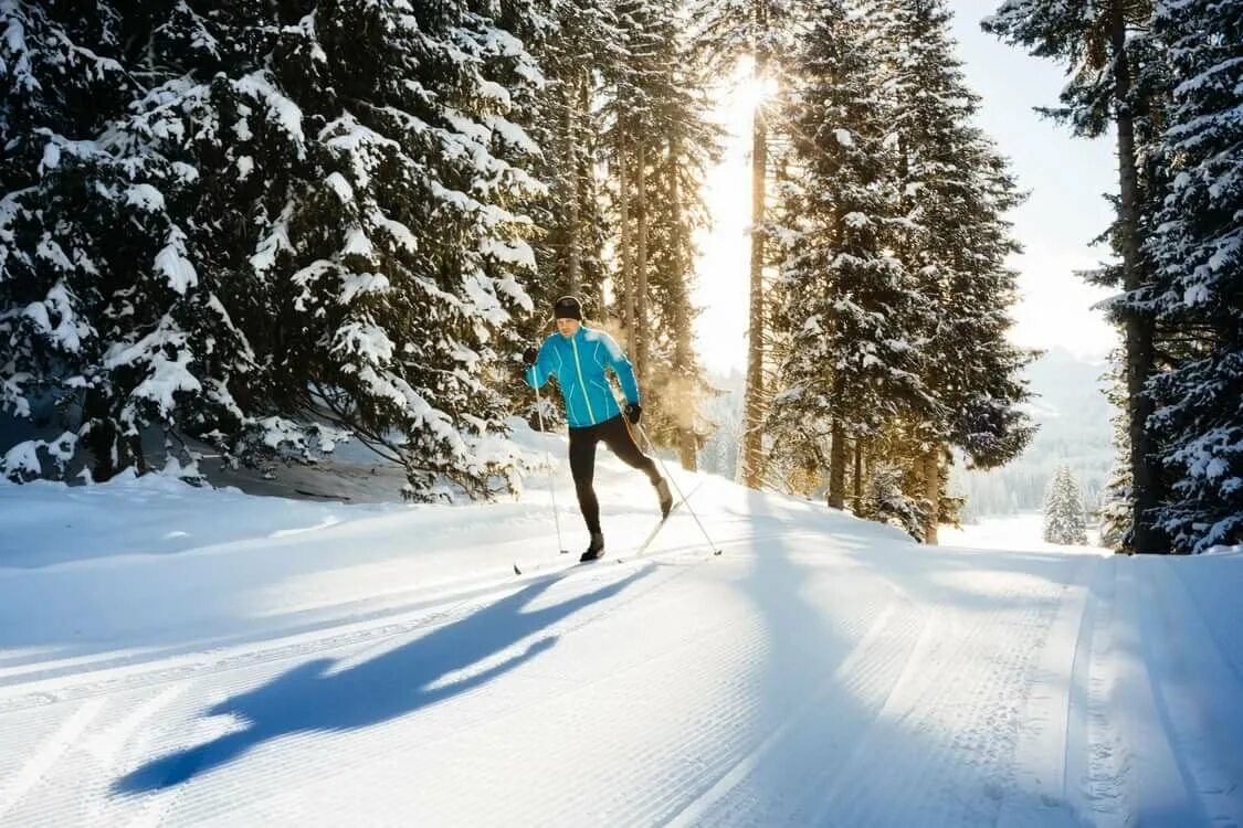В лесу зимой можно. Лыжная прогулка в лесу. Лыжник в лесу. Лыжные прогулки по лесу. Прогулка по зимнему лесу.