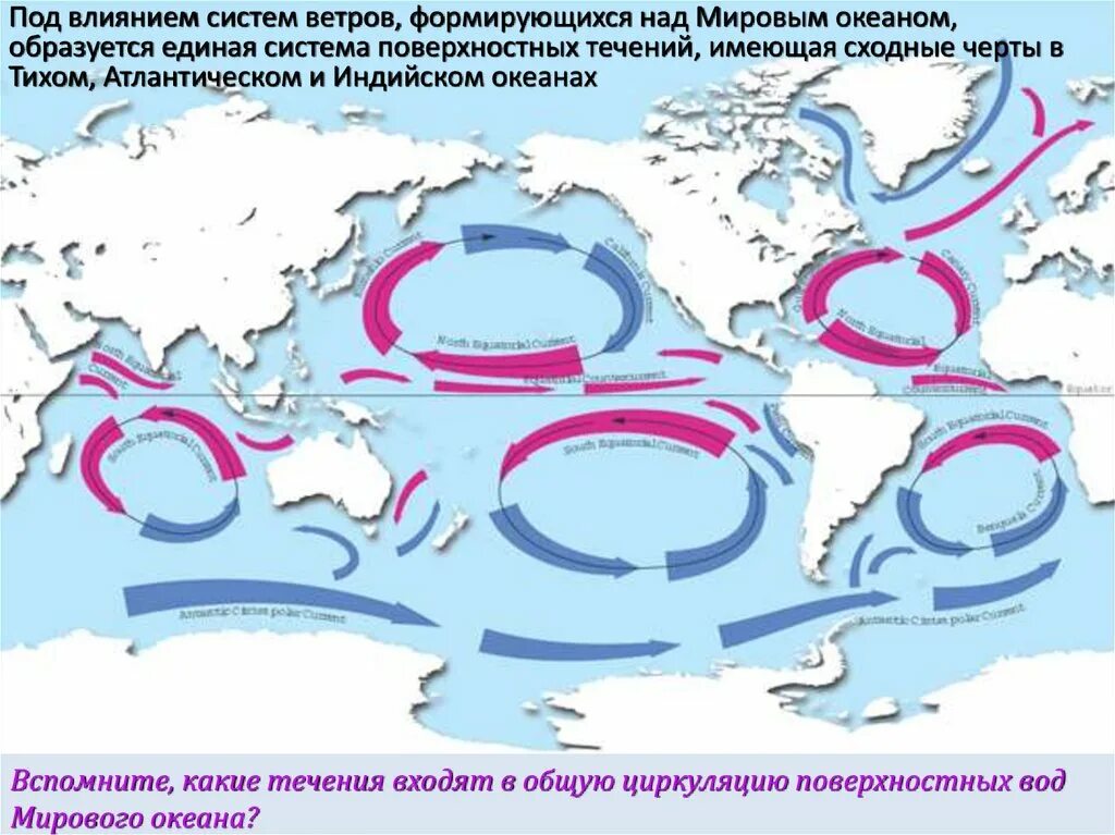 Тихий океан на карте мирового океана. Карта вод мирового океана 6 класс. Материковые отмели на карте мирового океана. Подписать воды мирового океана. Распространение животных в мировом океане