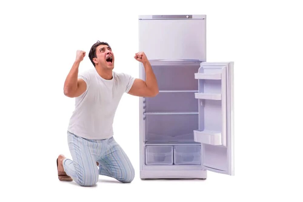 Next to the fridge. Опустевший холодильник. холодильник смеш. fridge артист. холодильники в ряд красивая картинка.