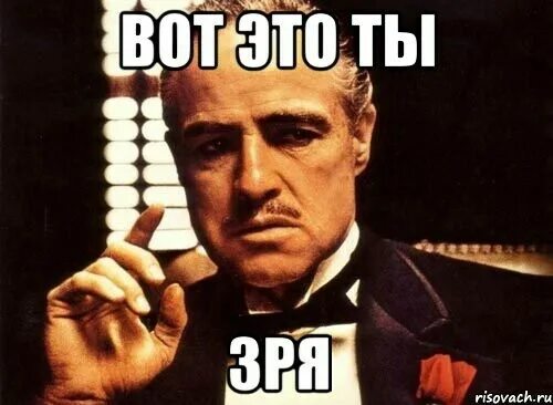Недовольный толстый кот. Пивной алкоголизм демотиваторы. А не тоже. Кот на заборе. Табличка на забор.