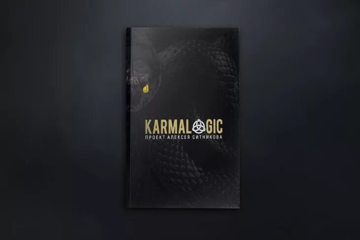 Проект кармалоджик. Кармалоджик книга. Кармалоджик краткая версия.