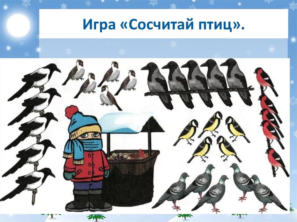 Задания день птиц. Зимующие птицы занятие в подготовительной группе. Задачи для дошкольников про зимующих птиц. Зимующие птицы упражнения для дошкольников. Иллюстрации зимующих птиц.