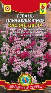 Семена герани многолетней