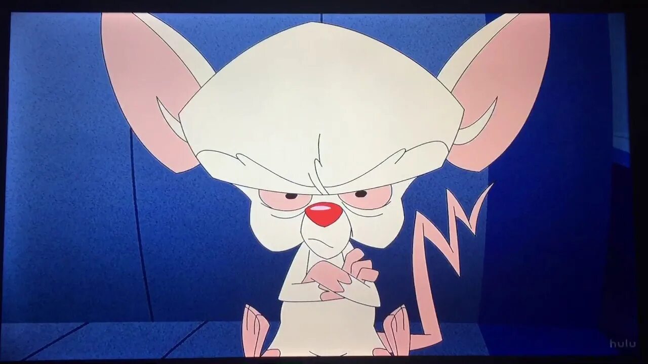 Want brains. Пинки и Брейн 2020. Animaniacs 2020 Pinky and the Brain.