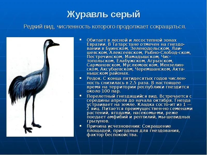 Краткое содержание журавли