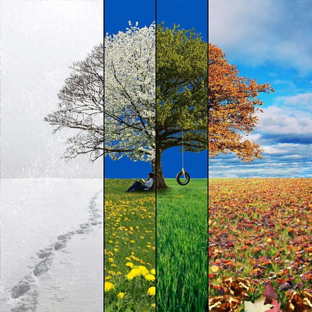 Ссылки на времена года. Времена года. Зима,Весна,лето,осень. Пейзаж времена года. Пейзаж в четырёх времени года.