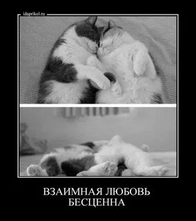 Быть рядом бесценно