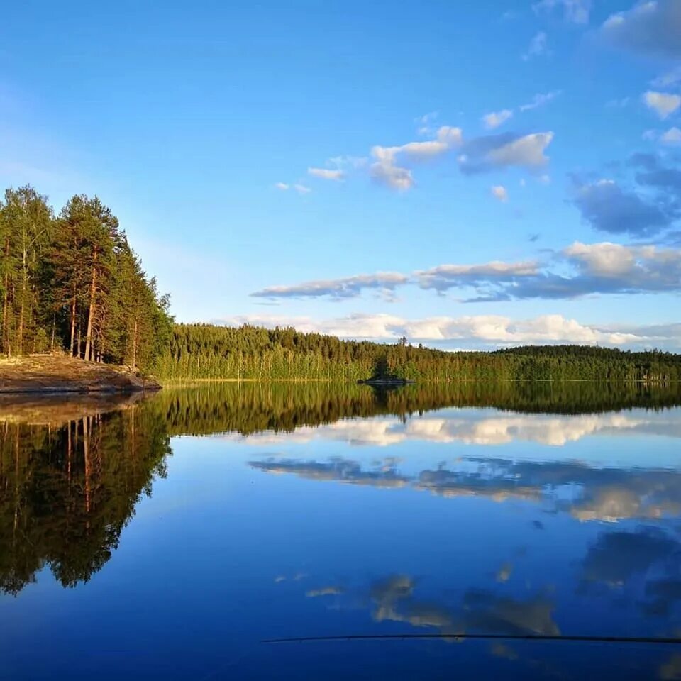 Финское озеро 5. Финляндия озеро Паасселкя. Финские озера Финляндия. Лесное озеро в Финляндии. Пересыхающие озера Финляндии.