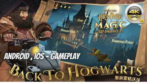 Potter magic awakened