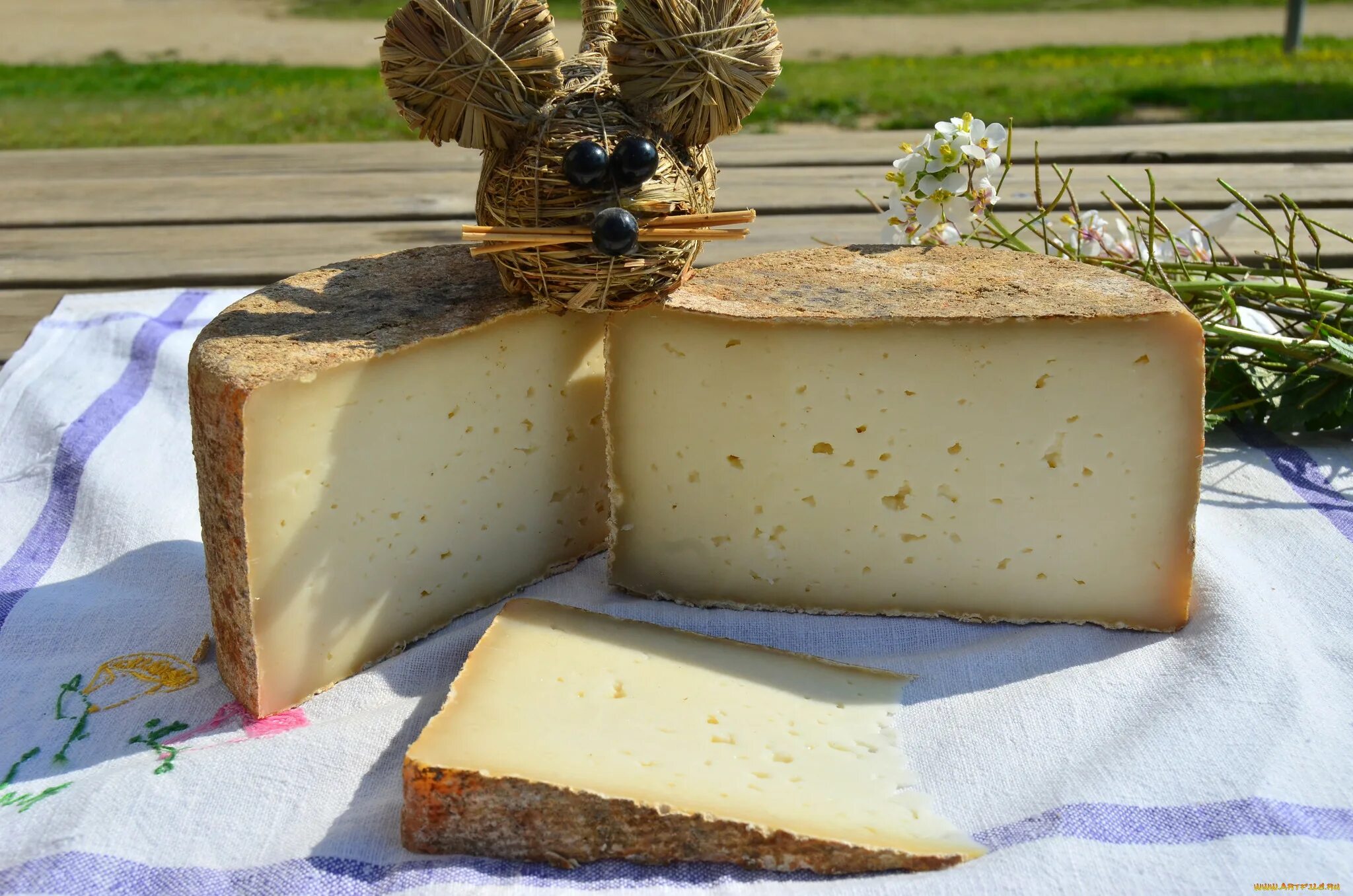 Пуле (pule). Сыр pule. Сыр пуле. Сыр с плесенью бри. Самый дорогой сыр в мире – «пуле».