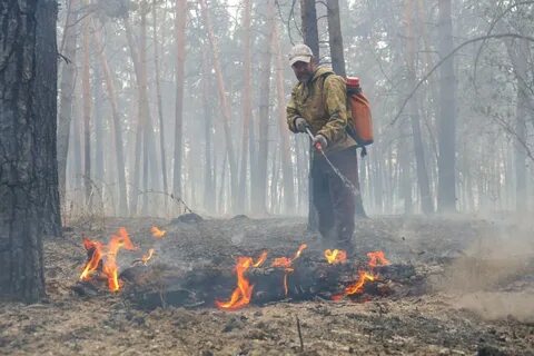 390 от 2012 года