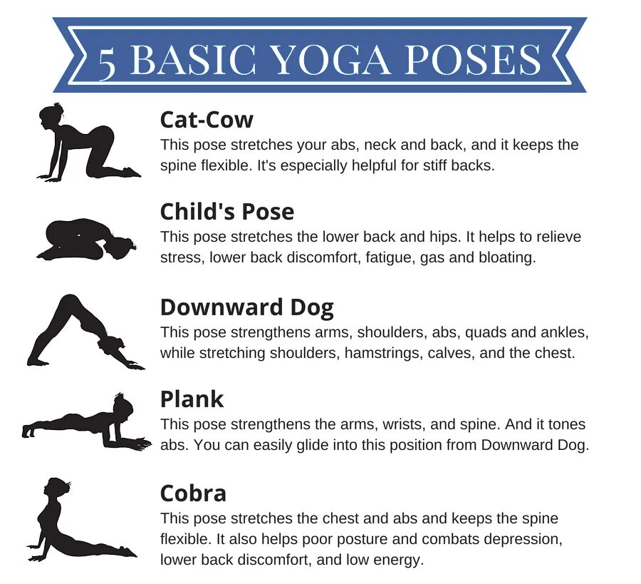 Йога Басик что это. Basic poses. Yoga for Beginners. Yoga poses. Basic terms